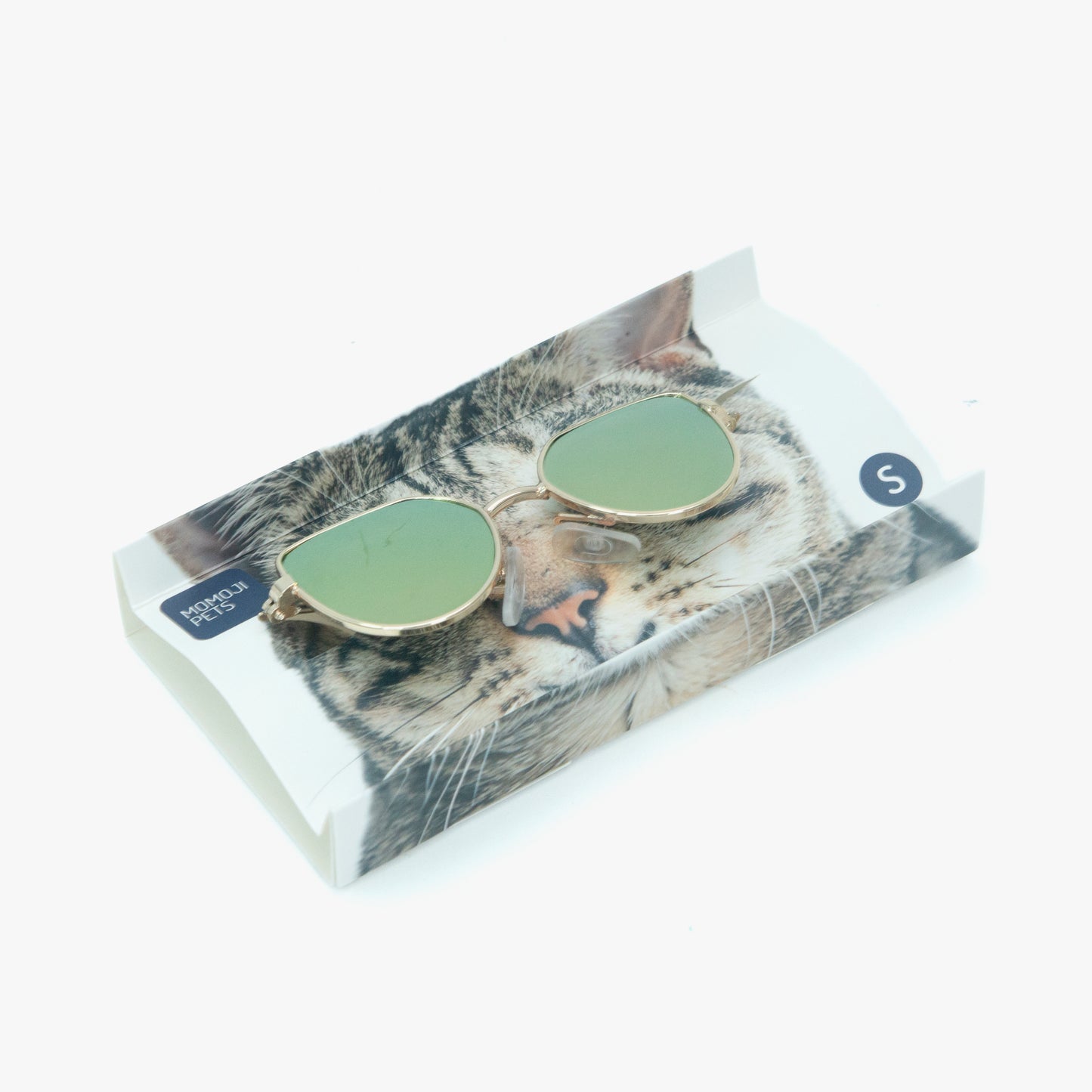 [early bird gift] Pet Eyewear