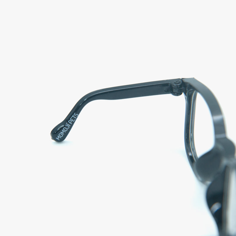 [early bird gift] Pet Eyewear