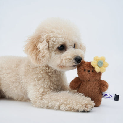 Momoji Bear Family (2-Brown Bear | Picnic Adventurer) | Pet Plushie