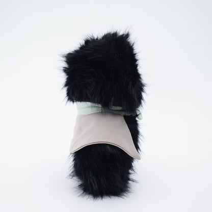 Momoji Bear Family (3-Black Bear | Forest Friend) | Pet Plushie