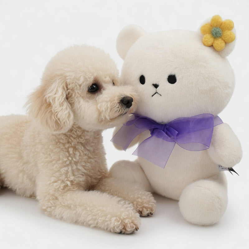 Momoji Bear Family (4-Creamy Bear | Dreamy Cloud) | Pet Plushie