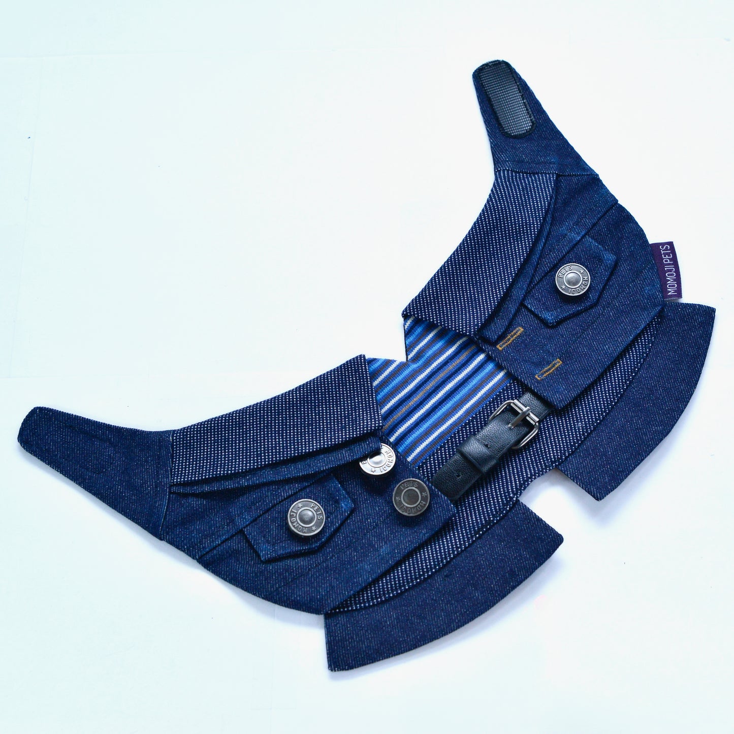 MOMOJI Lok-kwan B (洛軍) | Pet Neckwear