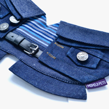 MOMOJI Lok-kwan B (洛軍) | Pet Neckwear
