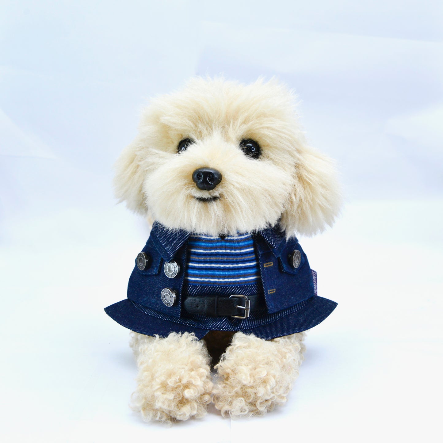 MOMOJI Lok-kwan B (洛軍) | Pet Neckwear