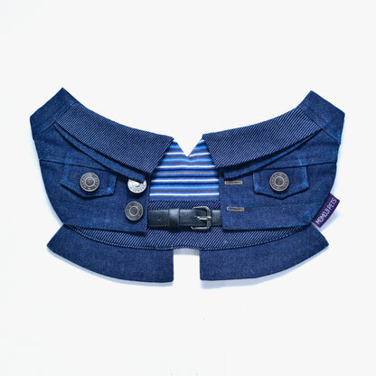 MOMOJI Lok-kwan B (洛軍) | Pet Neckwear