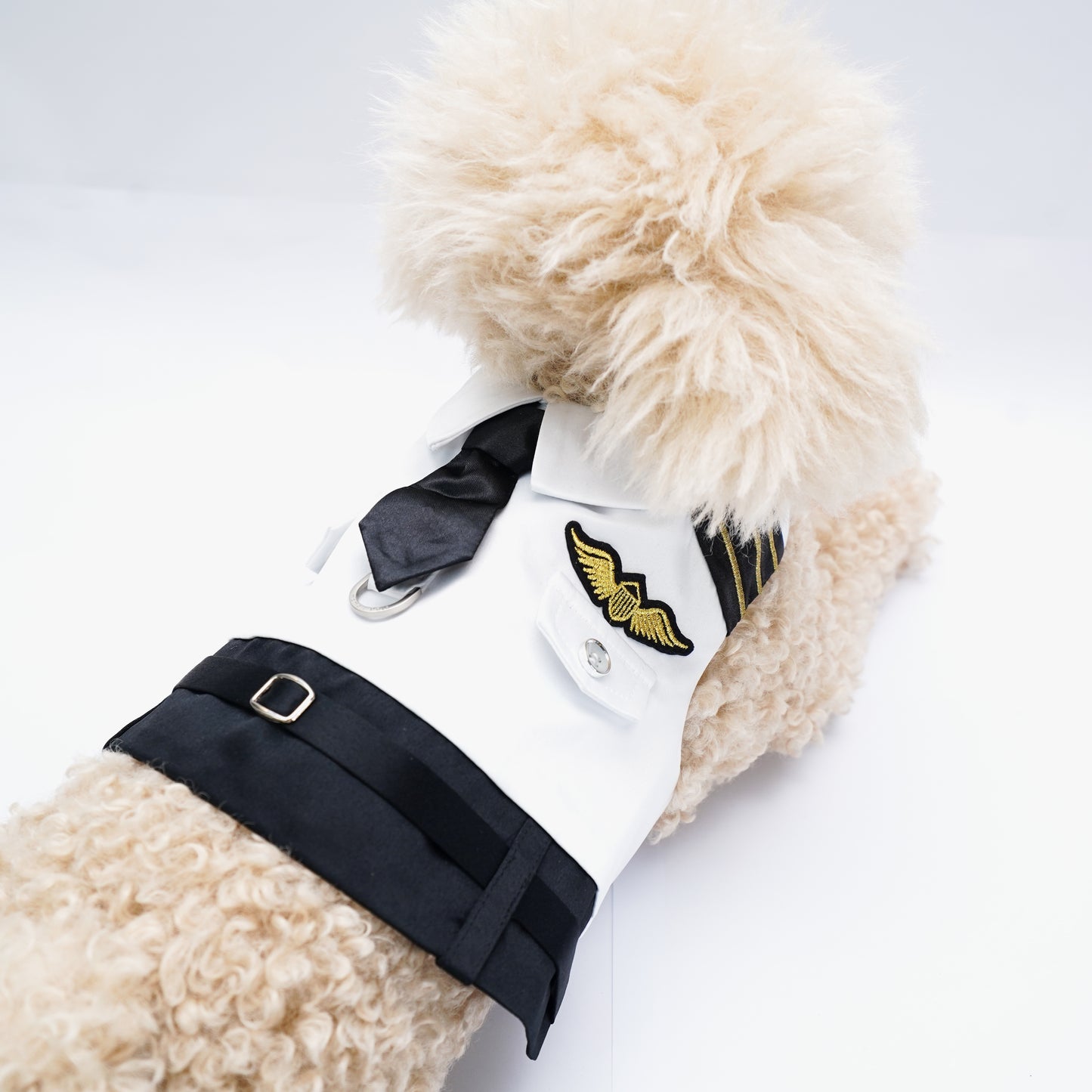 MOMOJI Coolmore I | Pet Vest