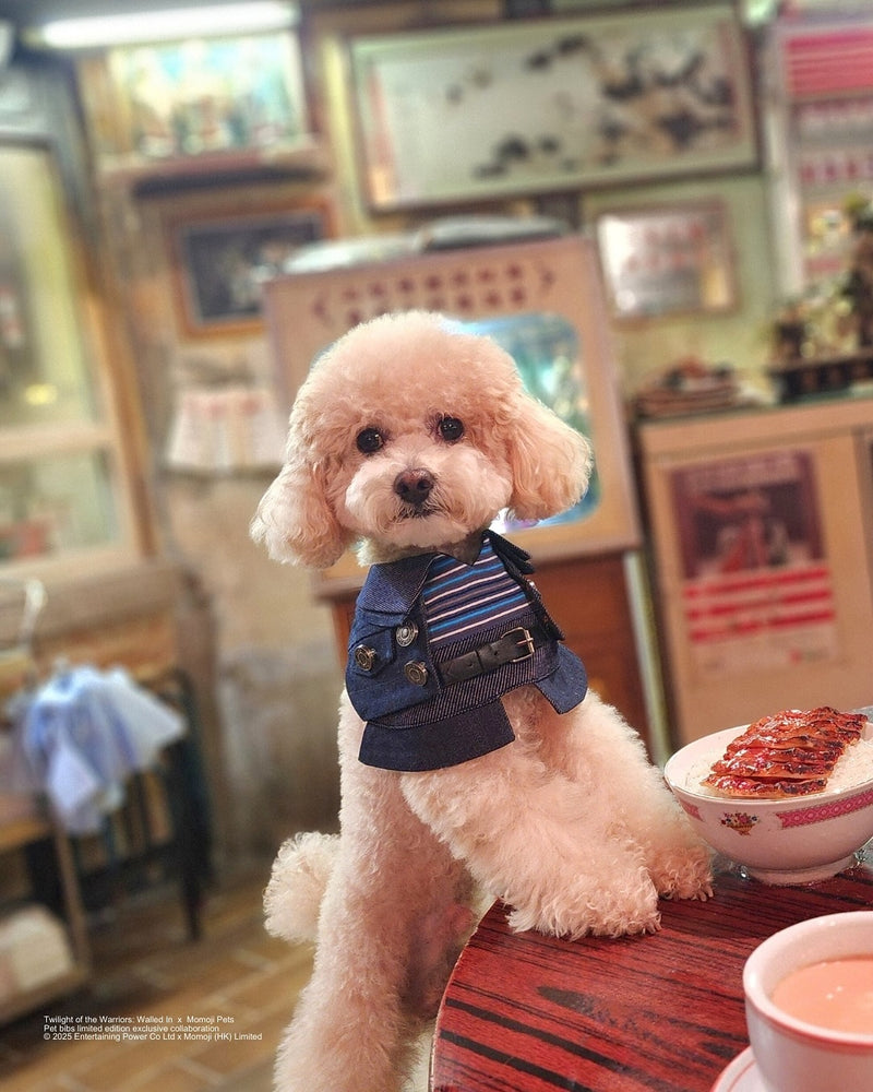 MOMOJI Lok-kwan B (洛軍) | Pet Neckwear