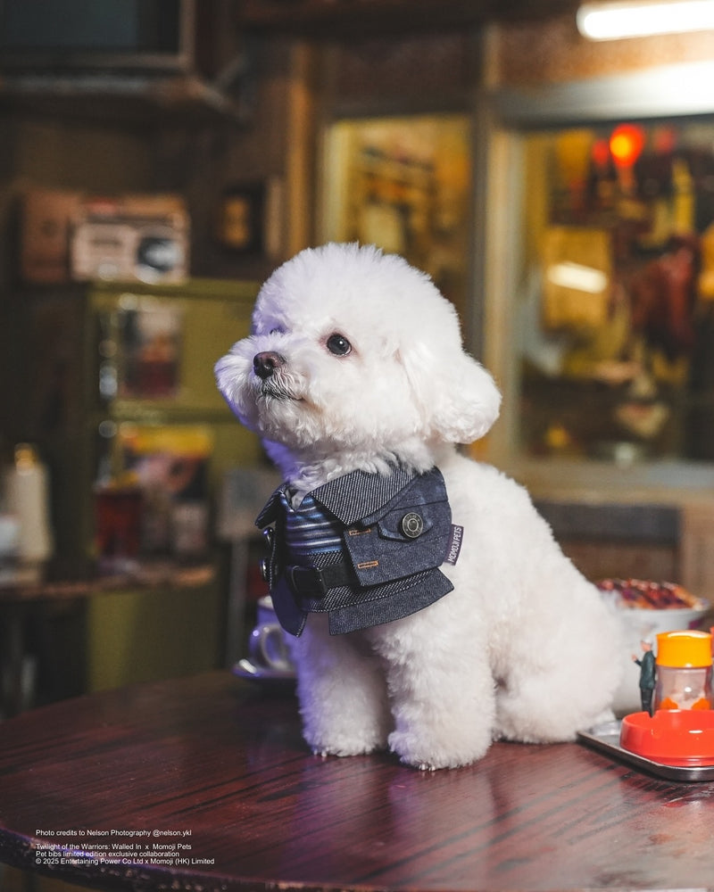 MOMOJI Lok-kwan B (洛軍) | Pet Neckwear