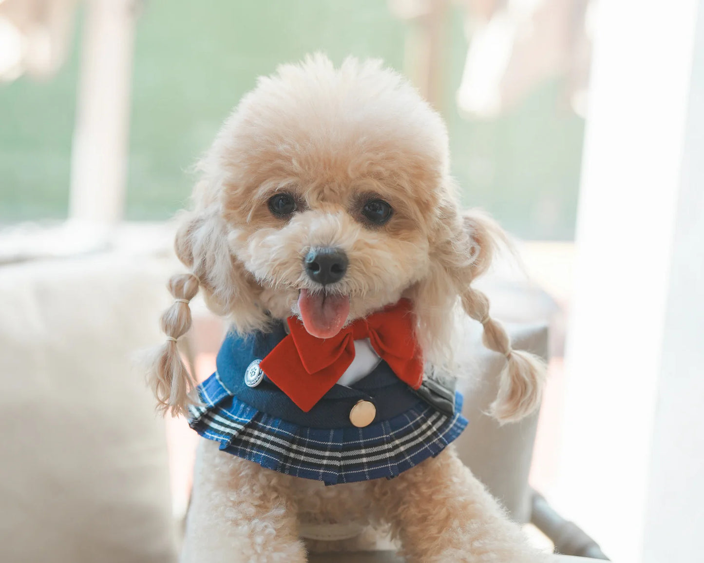 MOMOJI Morrison Hill Girls | Pet Bib