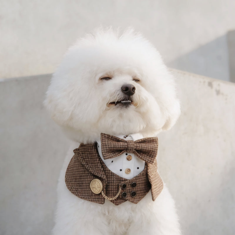 MOMOJI Bond (1-Coffee Houndstooth) | Pet Neckwear