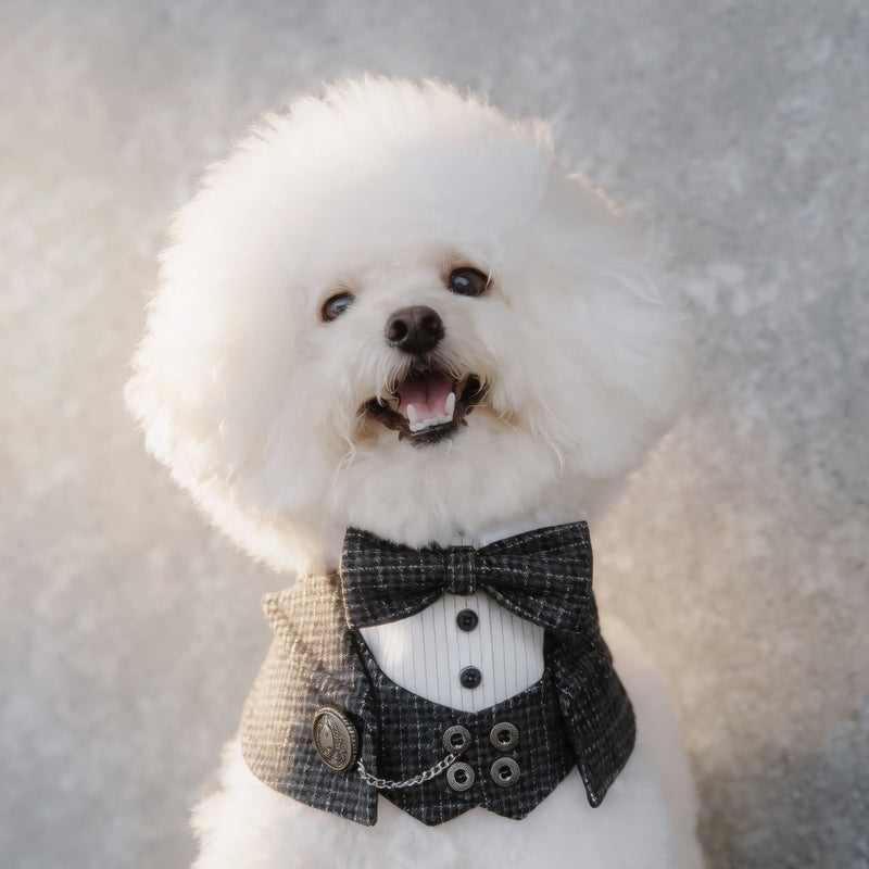 MOMOJI Bond (2-Charcoal Houndstooth) | Pet Neckwear