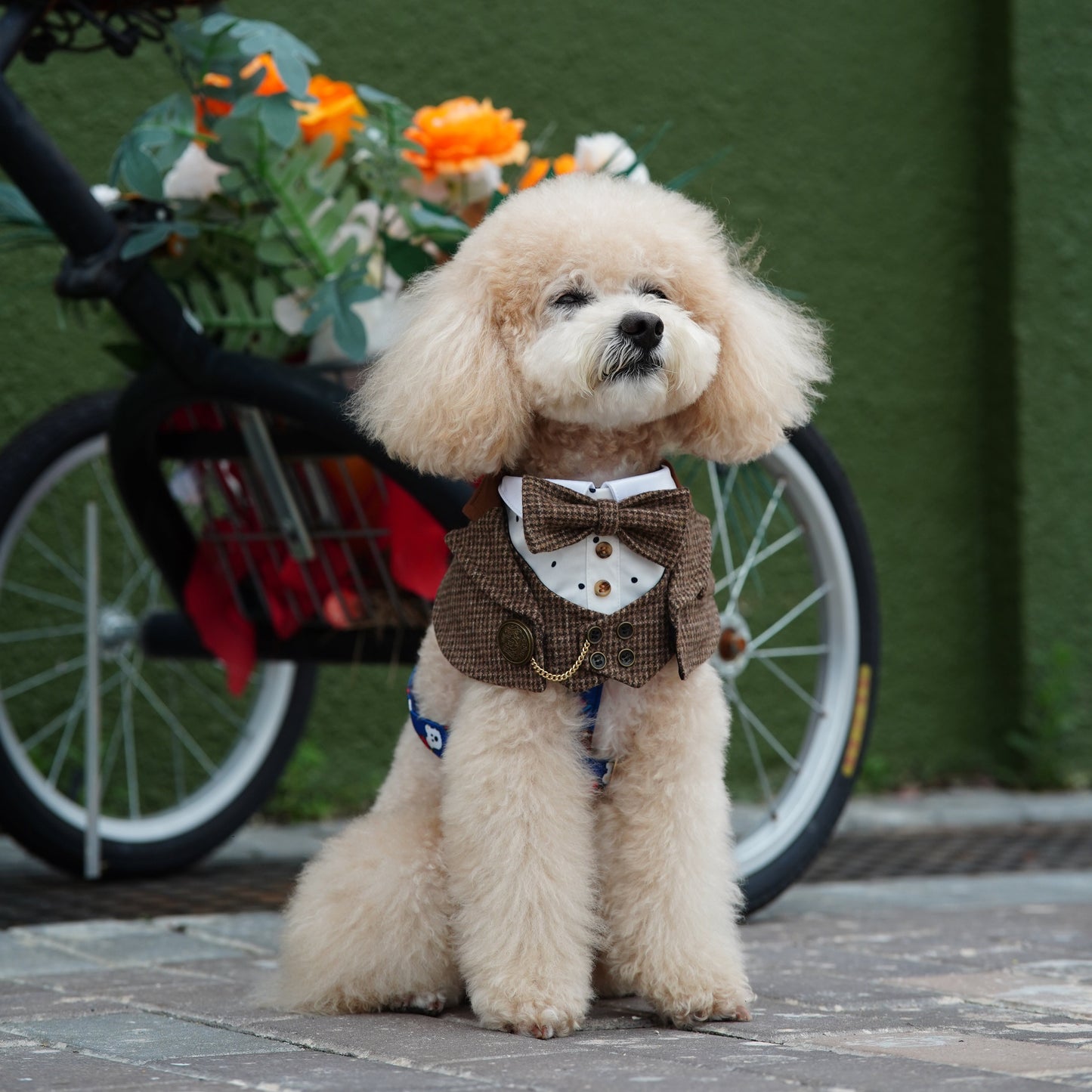 MOMOJI Bond (1-Coffee Houndstooth) | Pet Neckwear