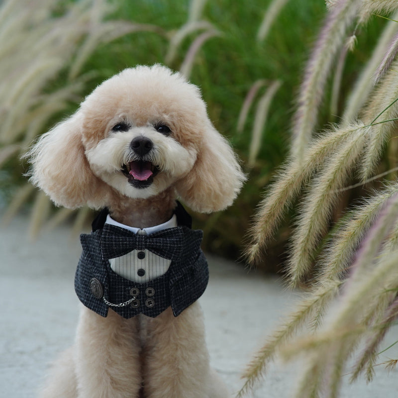 MOMOJI Bond (2-Charcoal Houndstooth) | Pet Neckwear