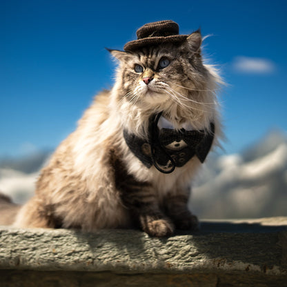 MOMOJI Bond (2-Charcoal Houndstooth) | Pet Hat