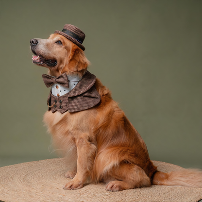 MOMOJI Bond (1-Coffee Houndstooth) | Pet Hat