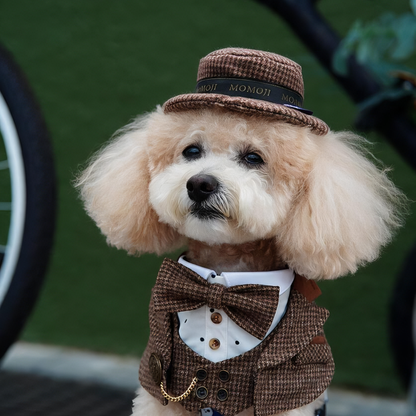 MOMOJI Bond (1-Coffee Houndstooth) | Pet Hat