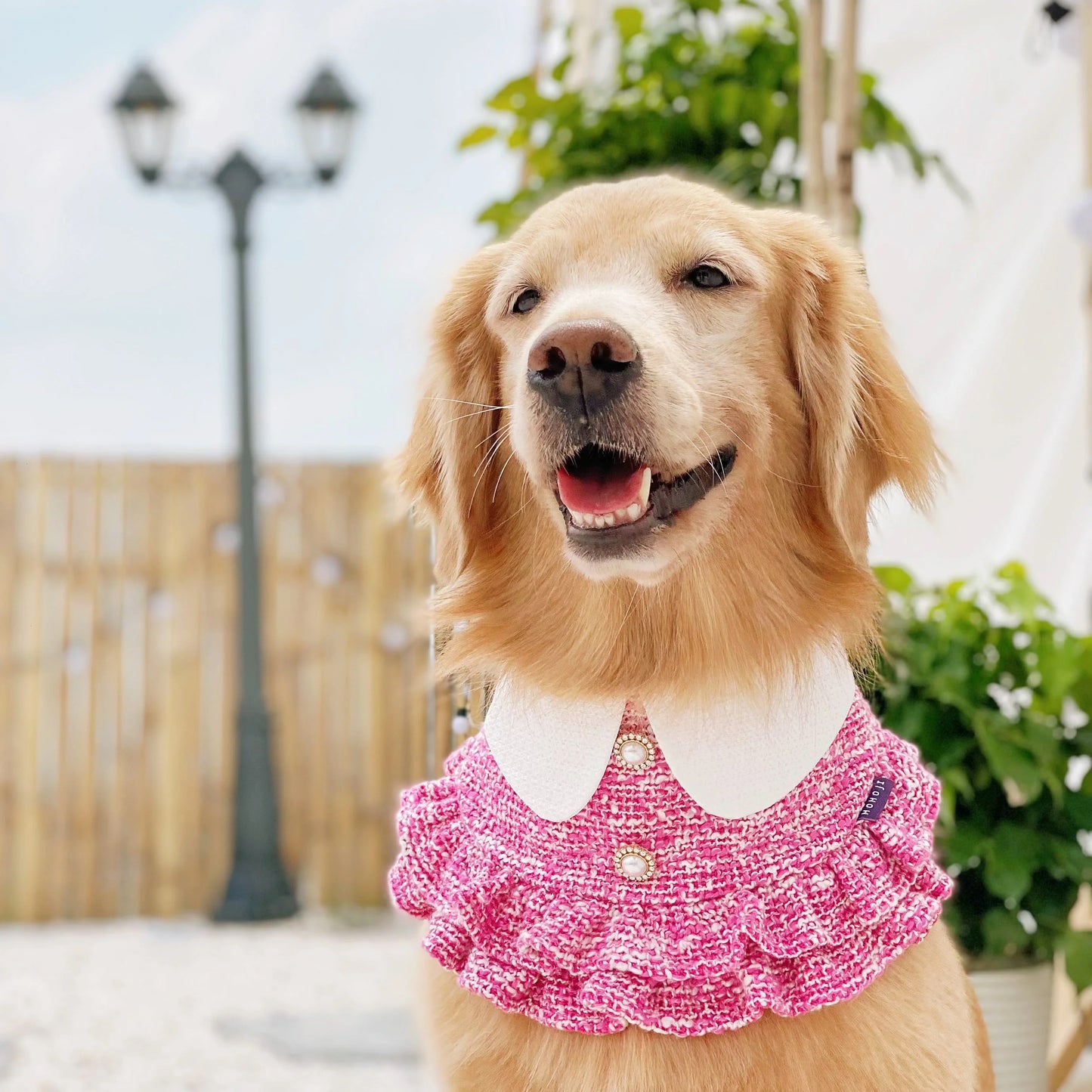 MOMOJI Kristen | Pet Bib