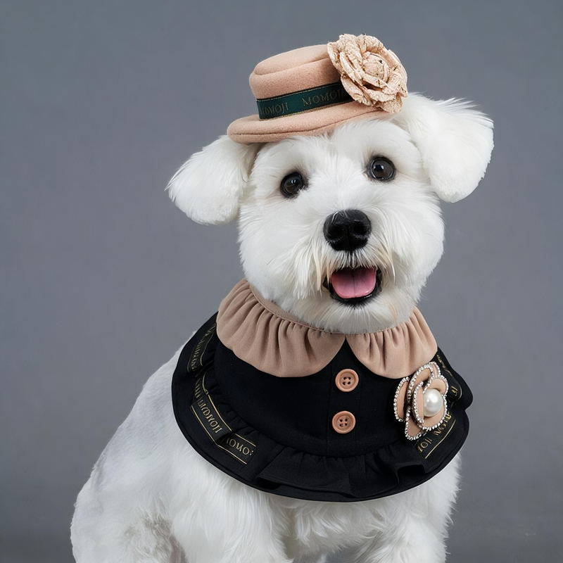 MOMOJI Covent (1-Classic Black & Camel Tan) | Pet Neckwear