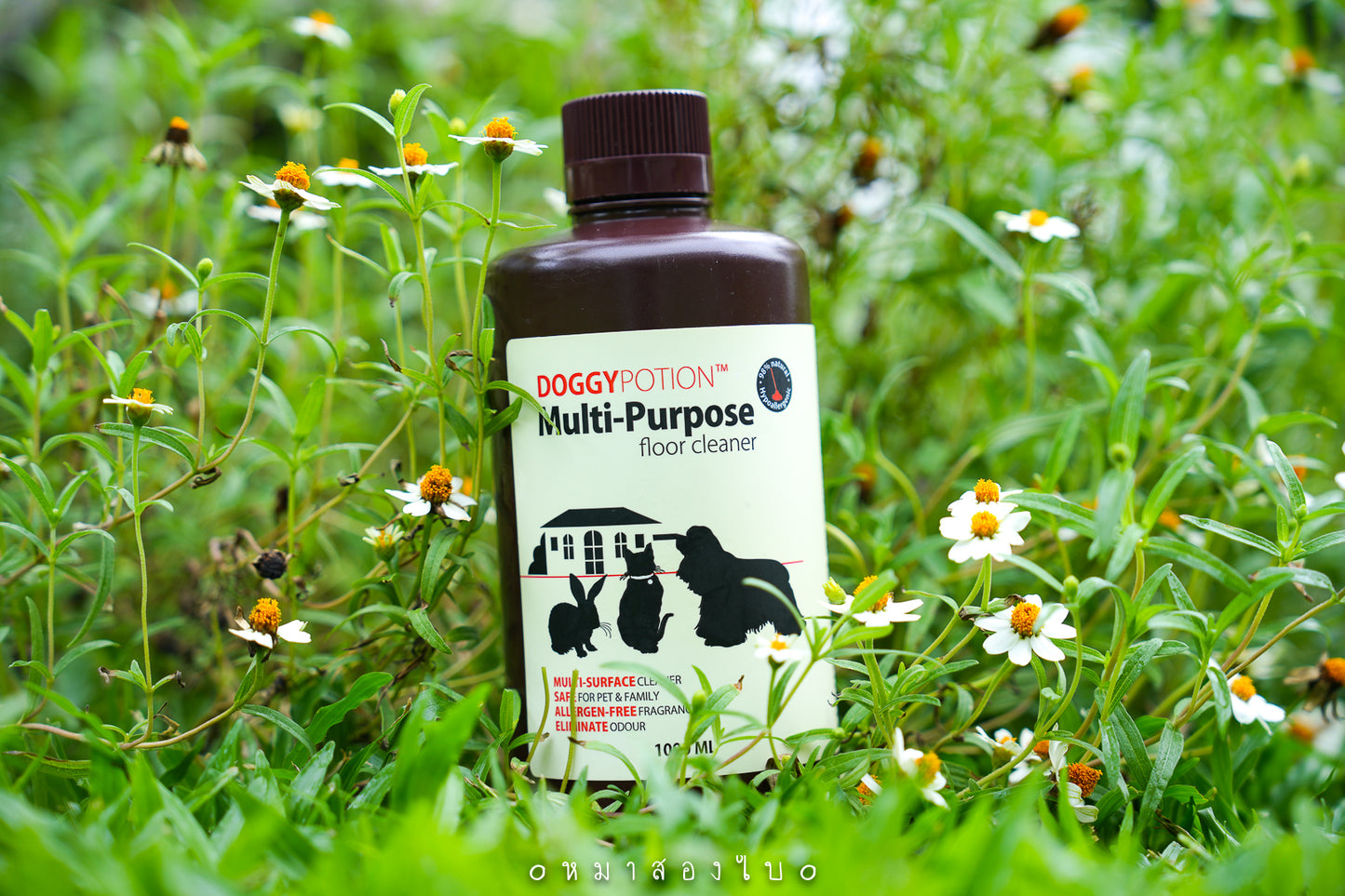 Multi-Purpose Floor Cleaner 1000ml