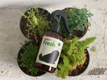 FRESH Conditioning Spray with Oatmeal 250ml