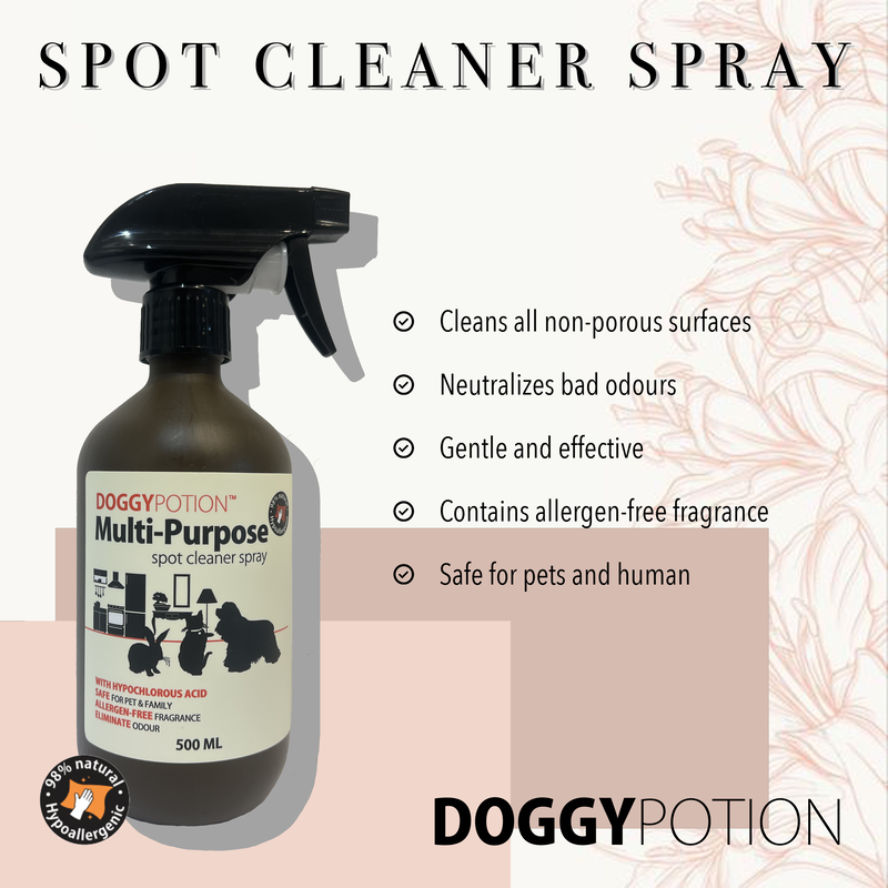 Multi-Purpose Spot Cleaner Spray 500ml
