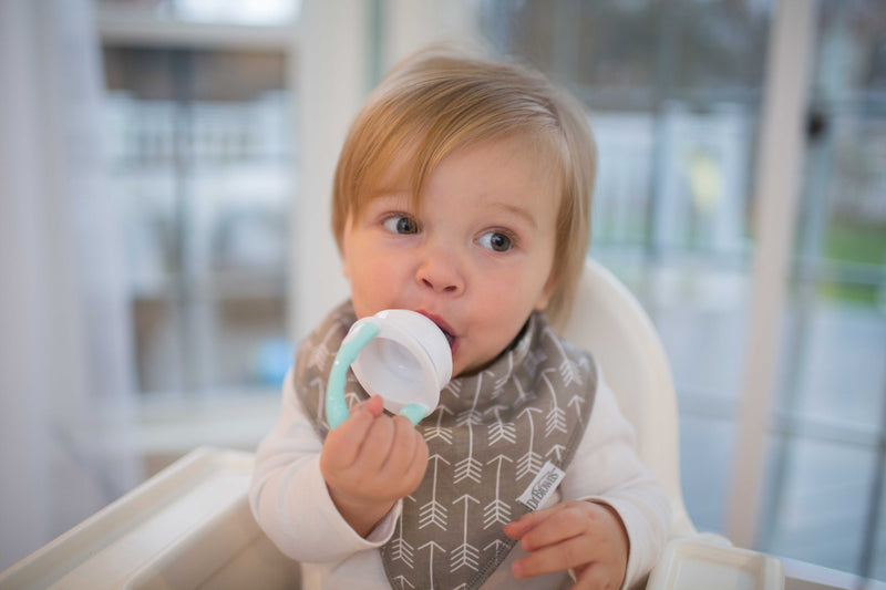 Dr. Brown's Fresh Firsts Silicone Feeder