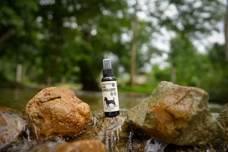 DoggyPotion 狗狗驅蚊蝨及蜱蟲噴劑 100ml (*新舊兩款噴咀 隨機發貨)