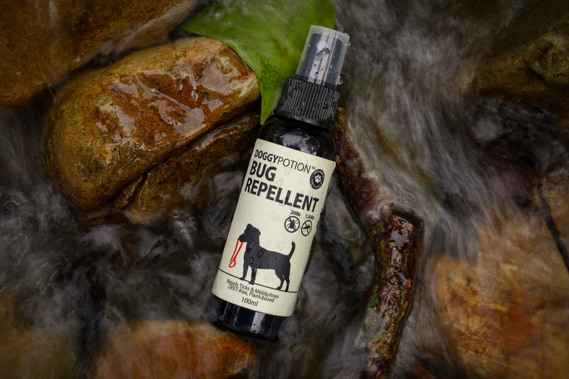 DoggyPotion 狗狗驅蚊蝨及蜱蟲噴劑 100ml (*新舊兩款噴咀 隨機發貨)