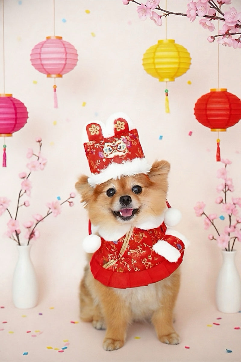 MOMOJI Dancing Lion 舞獅 | Pet LNY Hat