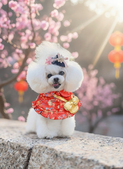 MOMOJI Kunghey 恭喜 | Pet LNY Neckwear