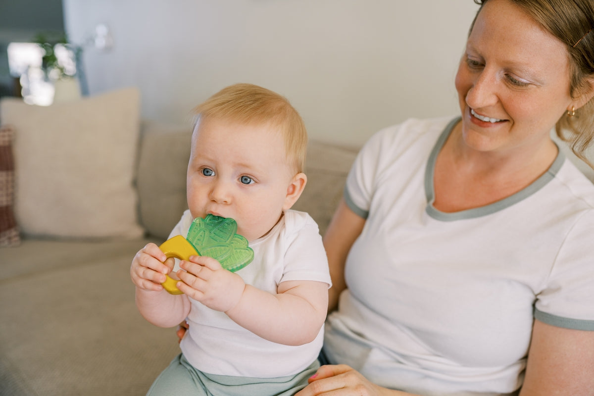 Dr. Brown's AquaCool Water-Filled Teether 2pc - Houseplants