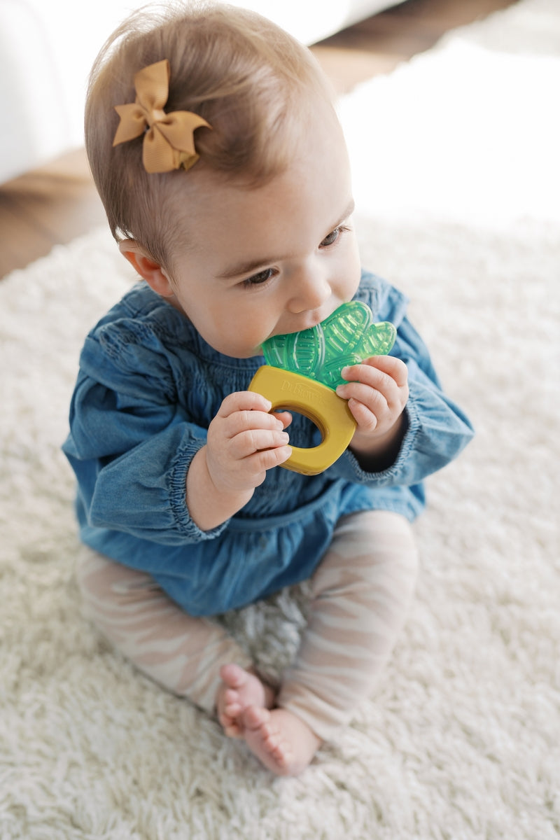 Dr. Brown's AquaCool Water-Filled Teether 2pc - Houseplants