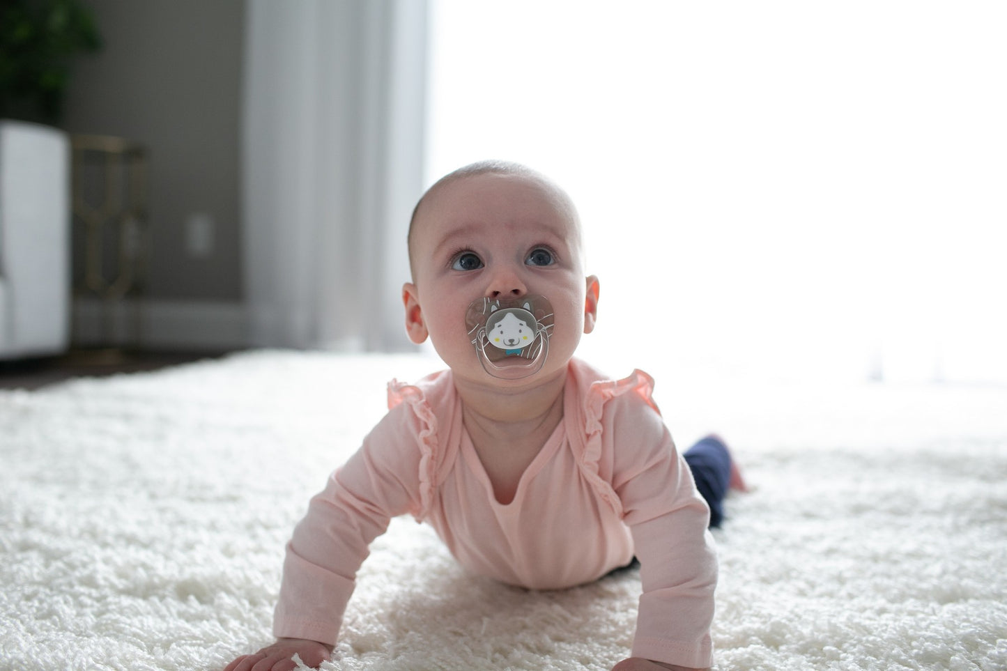 L2 6-18mth PreVent Soother 2s - Husky L2 6-18mth