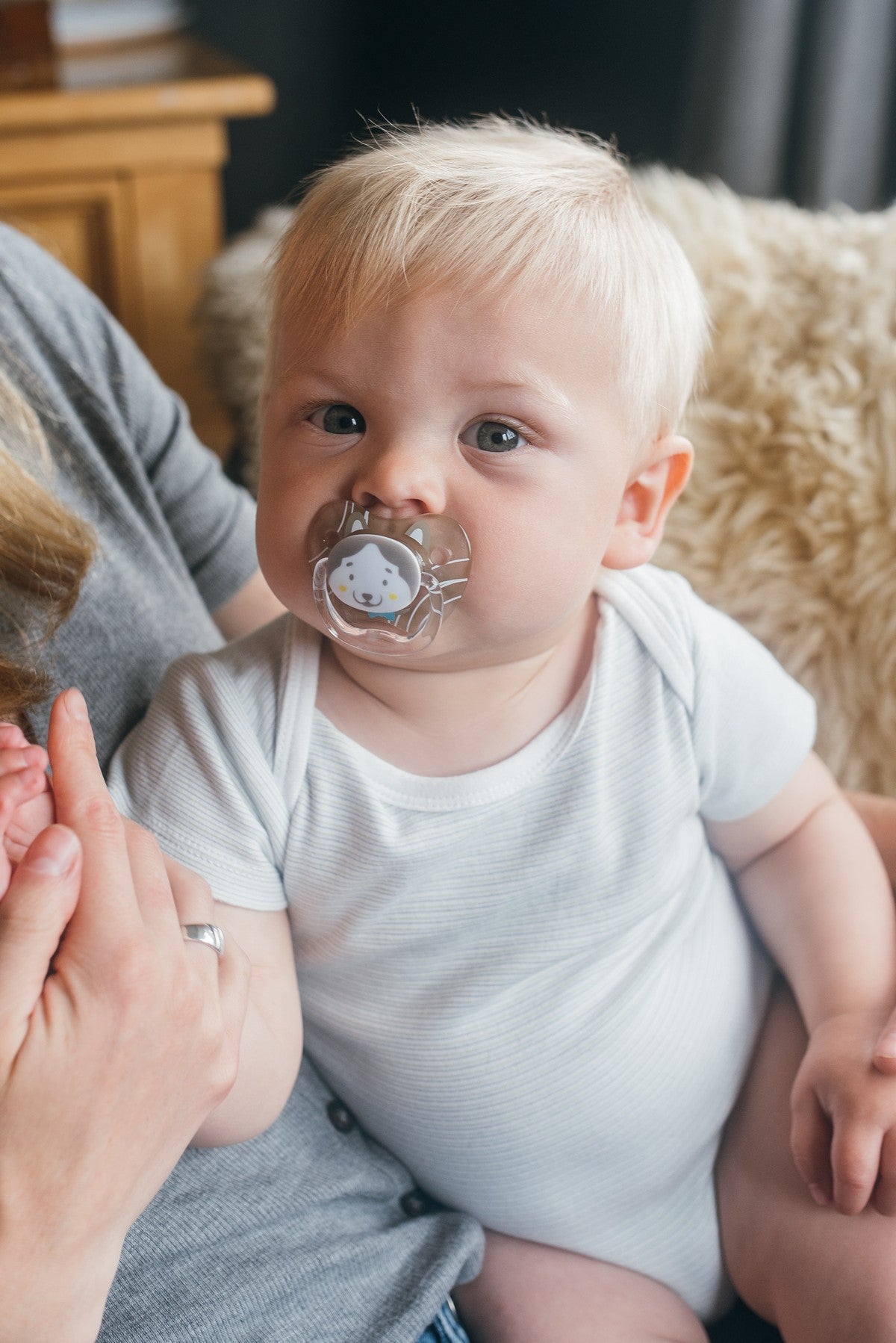 L2 6-18mth PreVent Soother 2s - Husky L2 6-18mth