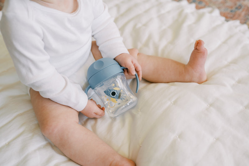 Dr. Brown's Soft-Spout Cup with Handles 6oz