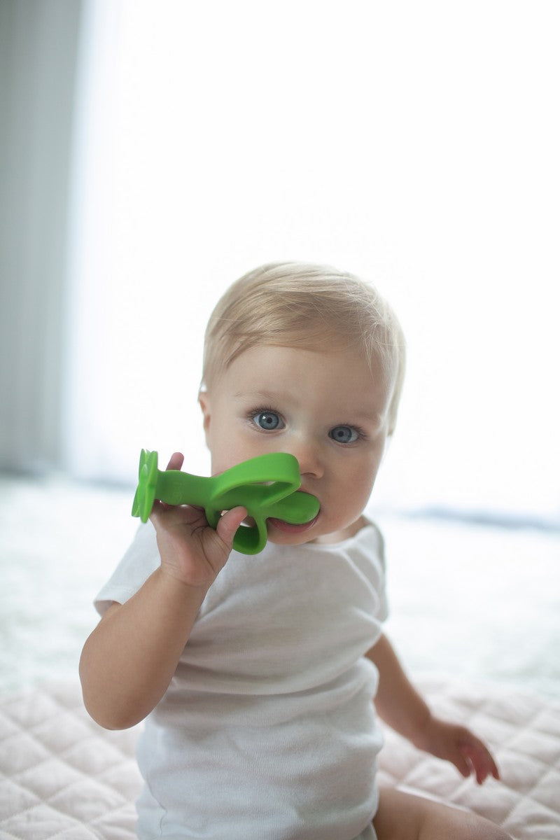 Dr Brown's Silicone Teether + Training Toothbrush