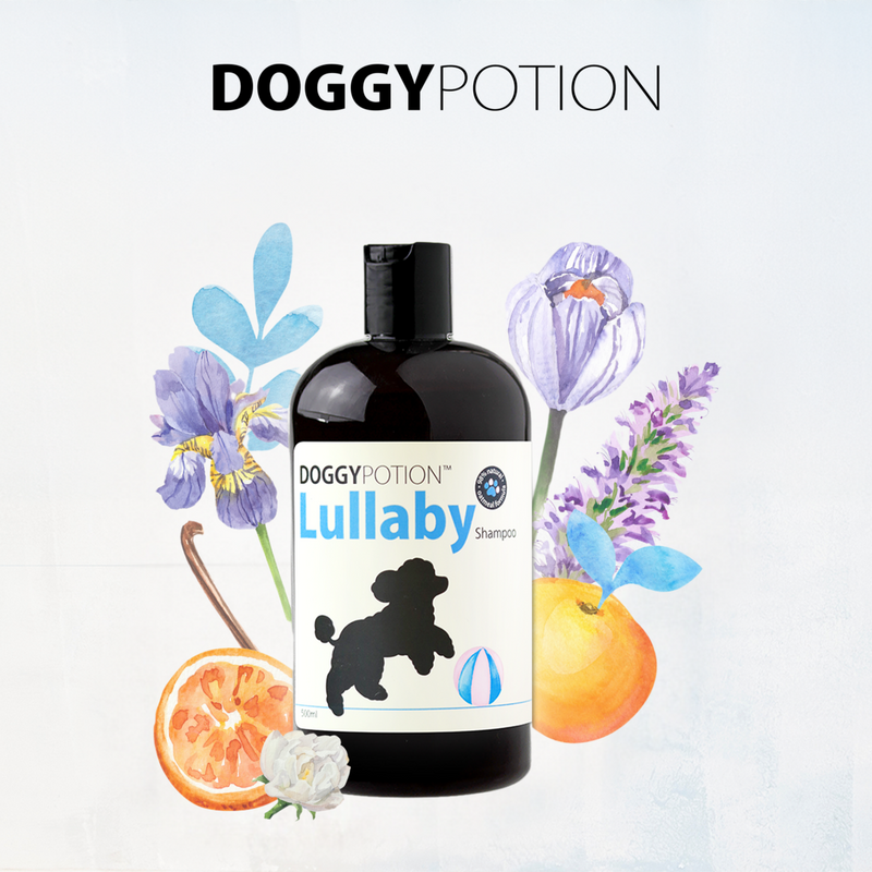 DoggyPotion LULLABY Shampoo (Baby Powder) 500ml