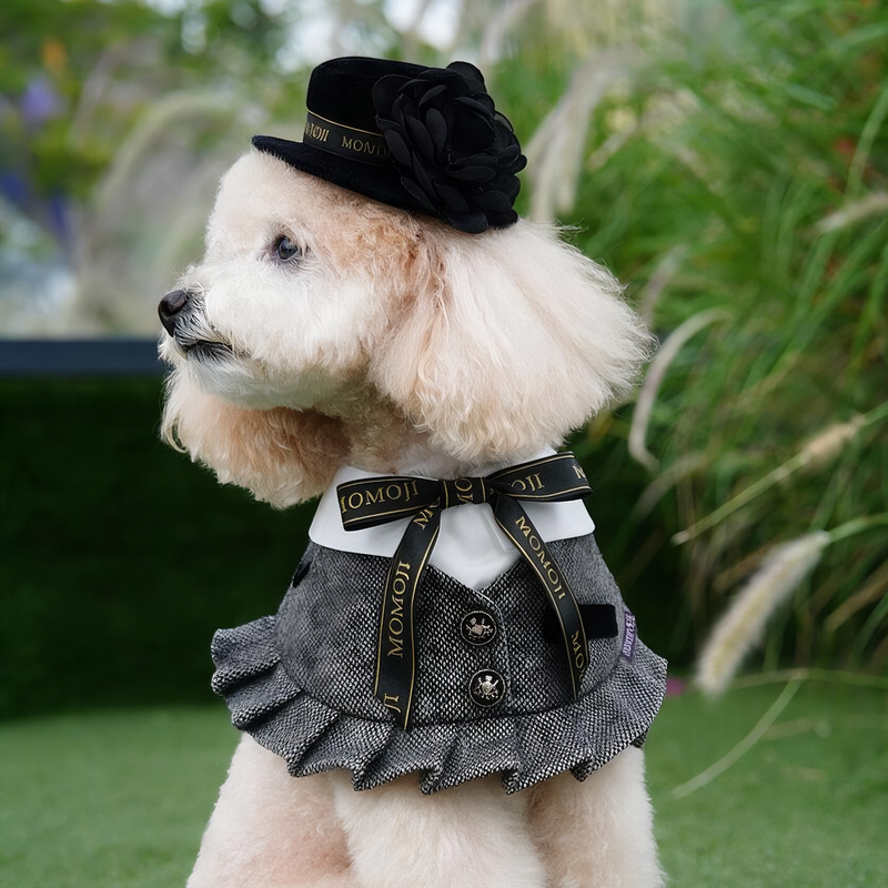 MOMOJI Picadilly (3-Charcoal Black Tweed) | Pet Neckwear