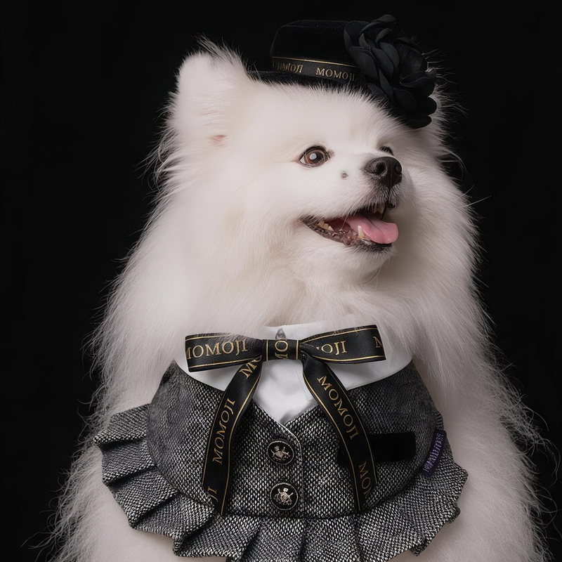 MOMOJI Picadilly (3-Charcoal Black Tweed) | Pet Neckwear