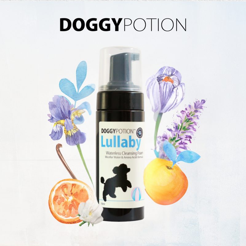 DoggyPotion LULLABY Waterless Cleansing Foam (Baby Powder) 150ml