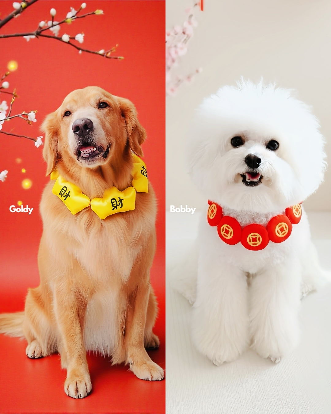 MOMOJI Prosperity Medallion 聚財圓 | Pet LNY Neckwear