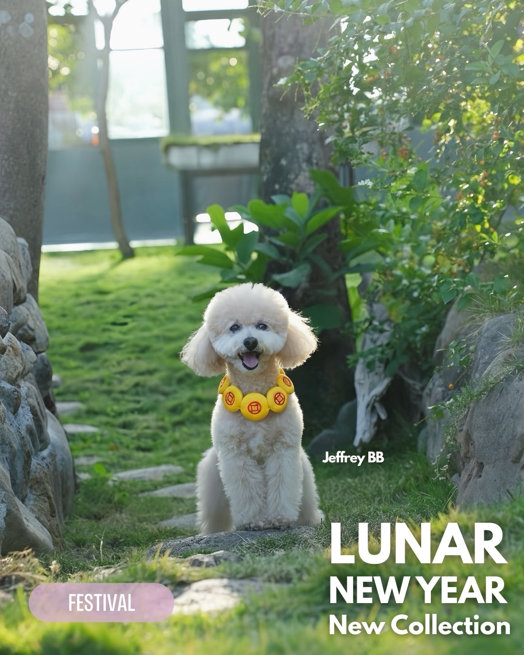 MOMOJI Prosperity Medallion 聚財圓 | Pet LNY Neckwear