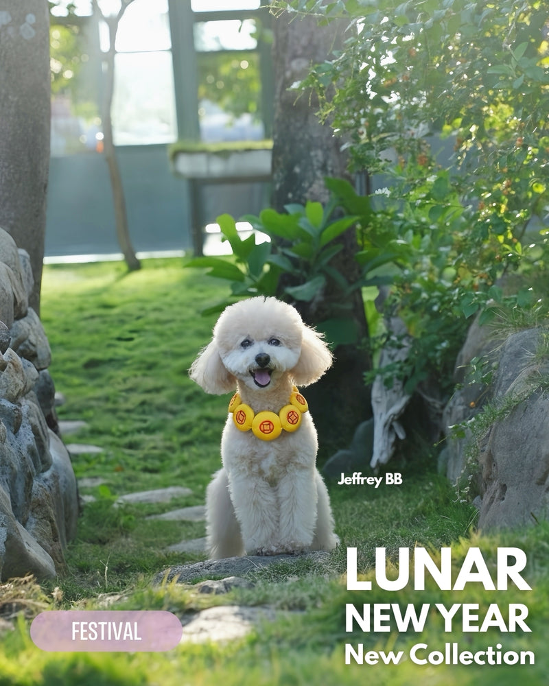 MOMOJI Prosperity Medallion 聚財圓 | Pet LNY Neckwear