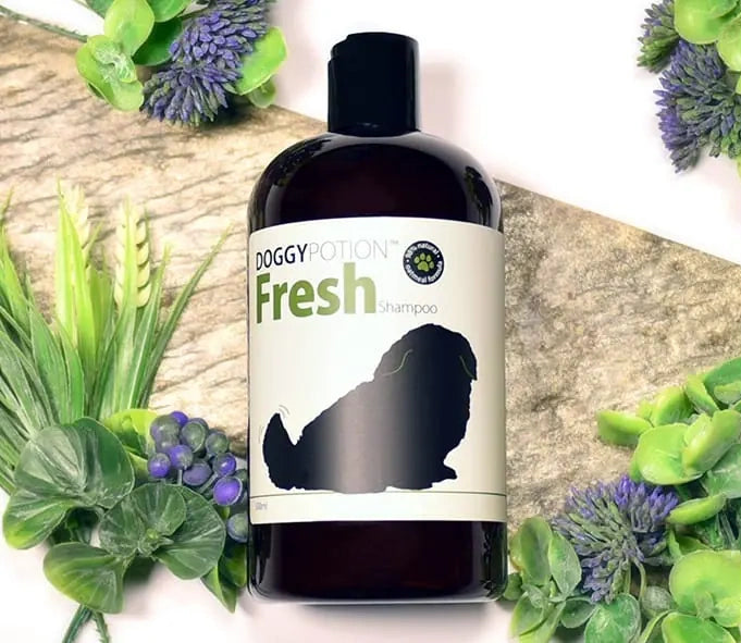 FRESH Shampoo with Oatmeal 500ml