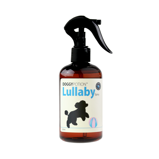 DoggyPotion LULLABY 潤澤毛髮噴霧 250ml (爽身粉香)